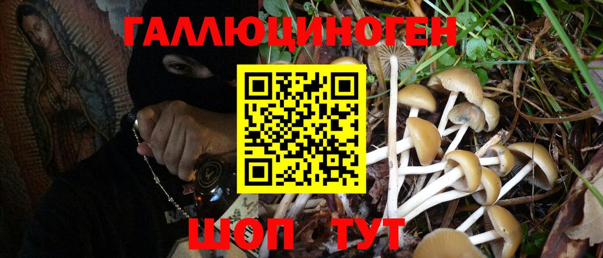 Псилоцибиновые грибы мухоморы Благодарный